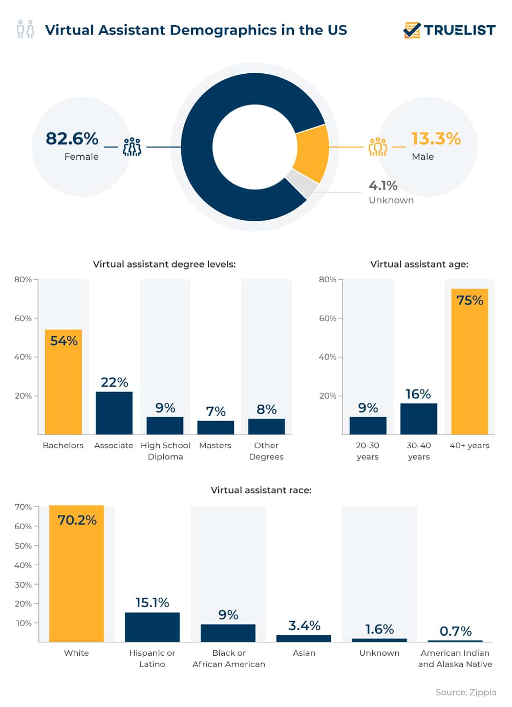 Virtual Assistant Demographics in the US